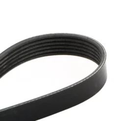 Courroie d'accessoires pour Audi A3 (8P) 1.6 FSi sans climatiseur