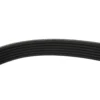 Courroie d'accessoires pour BMW E60/E61 21,36 x 2080 mm