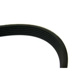 Courroie d'accessoires pour Volkswagen Golf 5 1.9 et 2.0 SDi/TDi sans climatiseur