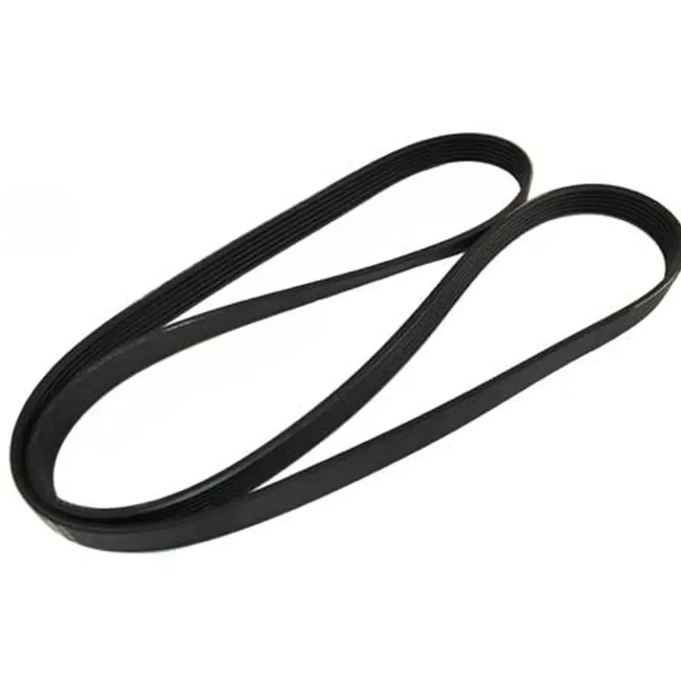 Courroie d'alternateur et de pompe à eau pour G60 si 21,36 x 1660 mm