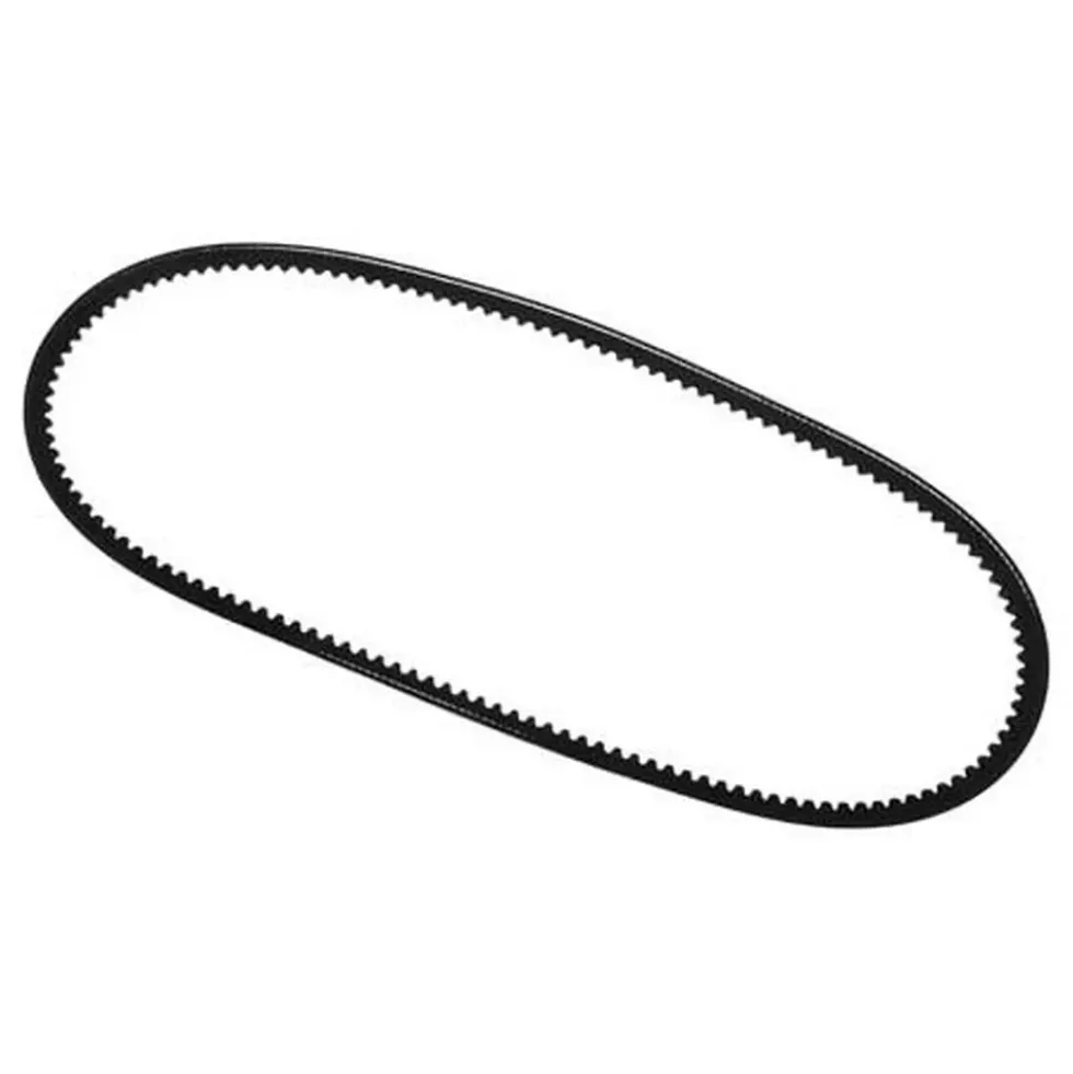 Courroie d'alternateur et pompe à eau 10 x 875 mm pour BMW E10 (02)