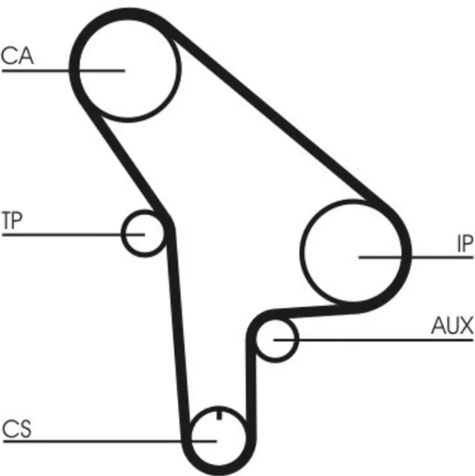 Courroie de distribution Continental pour Bmw Série 3 E30 Berline et Touring (04/1985-12/1990)