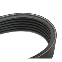 Courroie multipistes 1180 mm pour Audi 80 type 8C