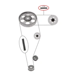 Courroie secondaire de distribution pour Audi 100 77 ->91