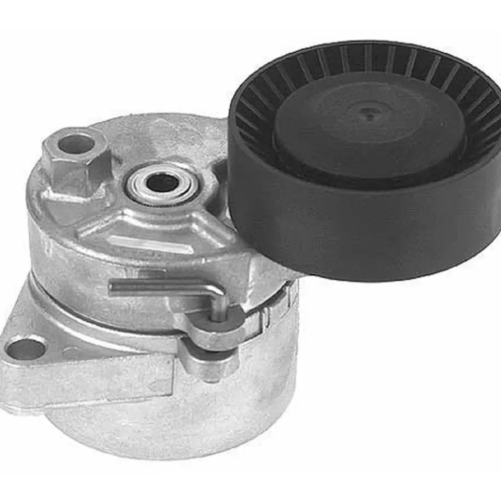 Galet pour courroie de climatisation avec prétensionneur BMW Z3 (E36)