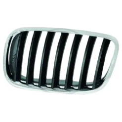 Grille de calandre avant gauche pour Bmw x5 E70 (02/2006-06/2013)