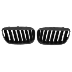 Grilles de calandres type Design pour Bmw X5 E53 (01/2003-09/2006) - Phase 2