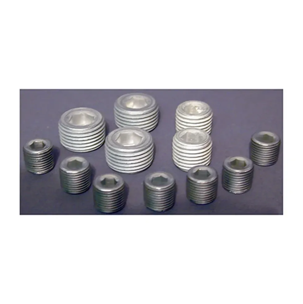 Kit bouchons de carter sur canalisations d'huile pour moteur type 1