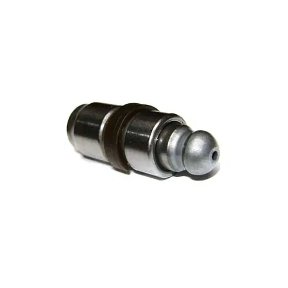 Poussoir hydraulique de soupape pour Audi A6 (C5)