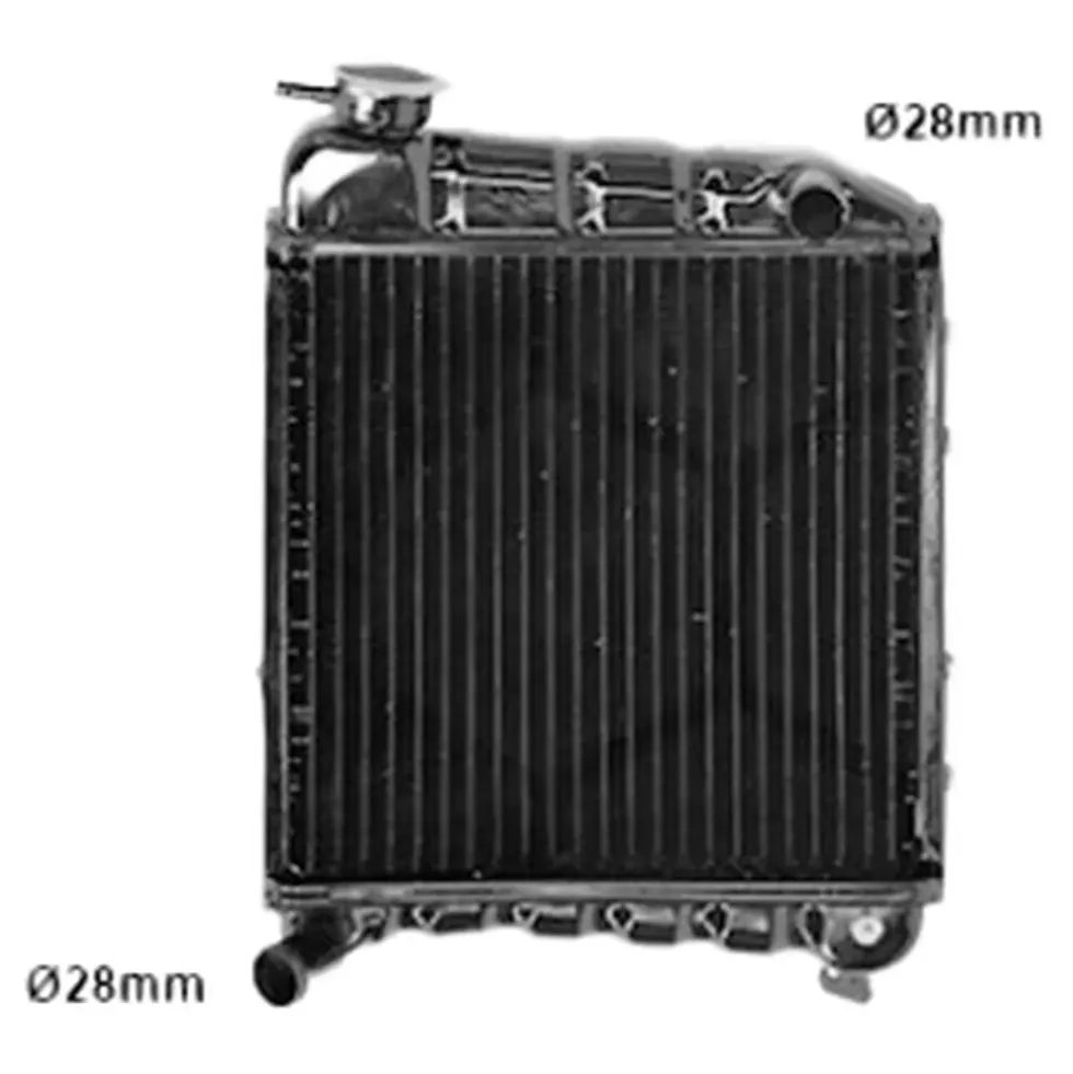 Radiateur moteur pour Austin Mini (09/1959-06/1993)