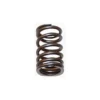 Ressort de soupape pour moteur 1200