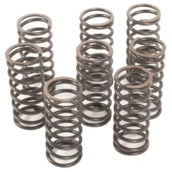 Ressorts intérieurs de soupape pour moteur pied moulé à préparation OKRASA - par 8