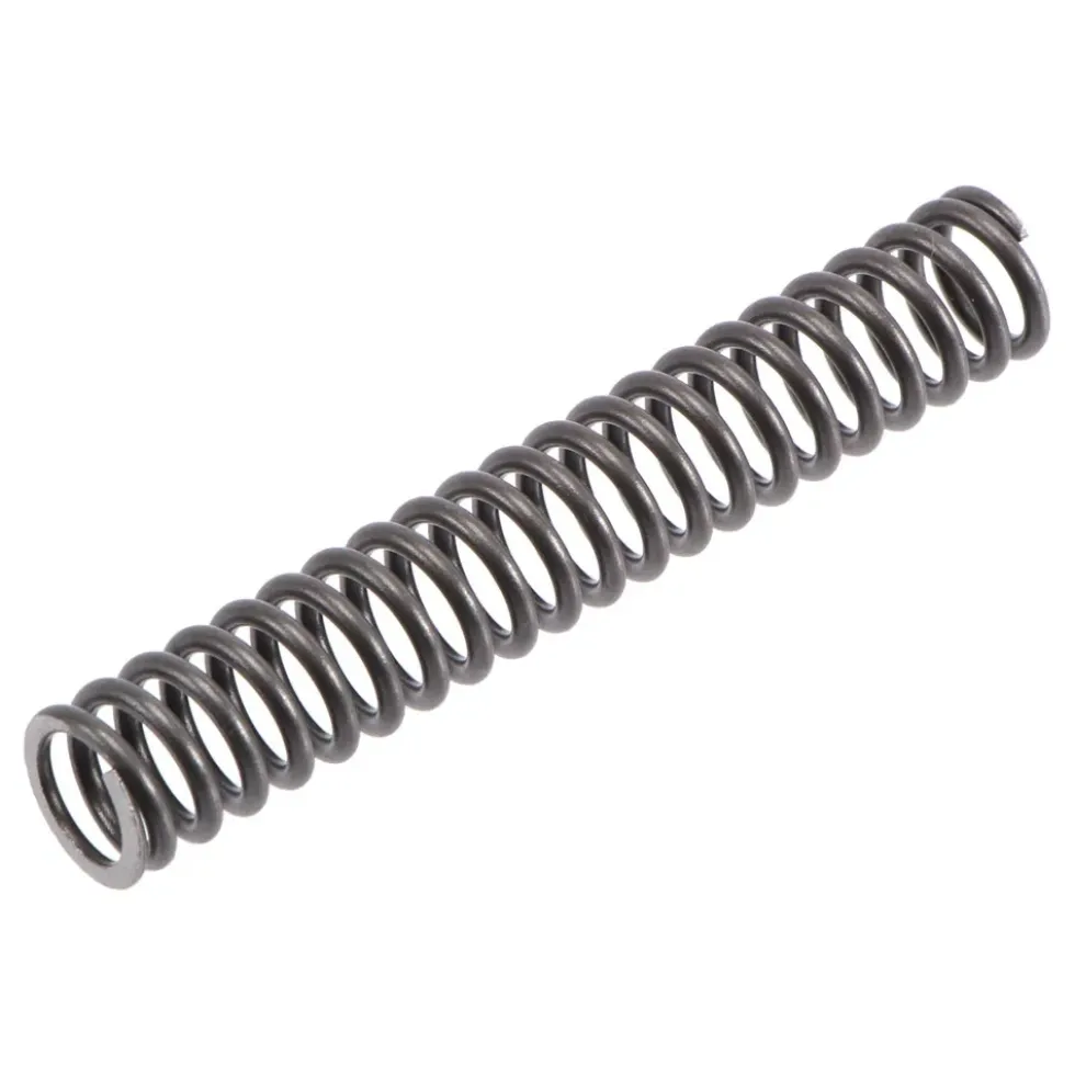 Ressort sur tendeur de chaine de distribution principale pour BMW E34 depuis 09/94 (Origine BMW)