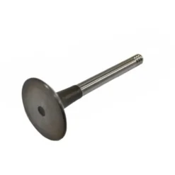 Soupape d'admission pour VOLKSWAGEN LT Diesel (1990-1996)
