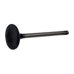 Soupape d'admission pour Volkswagen Golf 5 2.0L