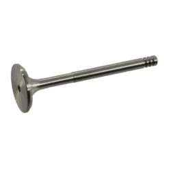 Soupape d'échappement pour Golf 3 Diesel