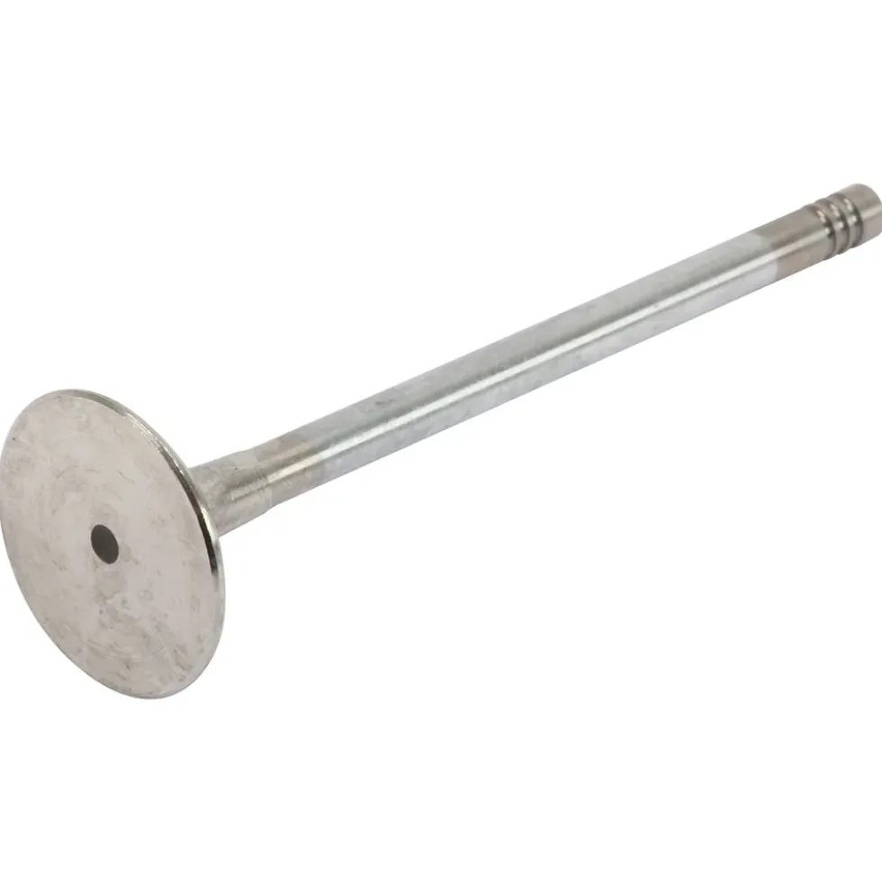 Soupape d'échappement 5,94 x 30,5 x 105,6mm pour BMW X5 E53 - côte standard