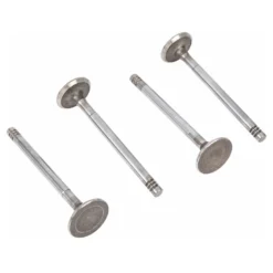 Soupapes d'admission pour Volkswagen Coccinelle et Combi - 31,5 mm - par 4