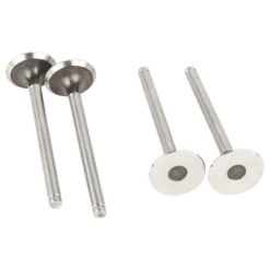 Soupapes d'échappement pour Peugeot 205 Diesel - par 4