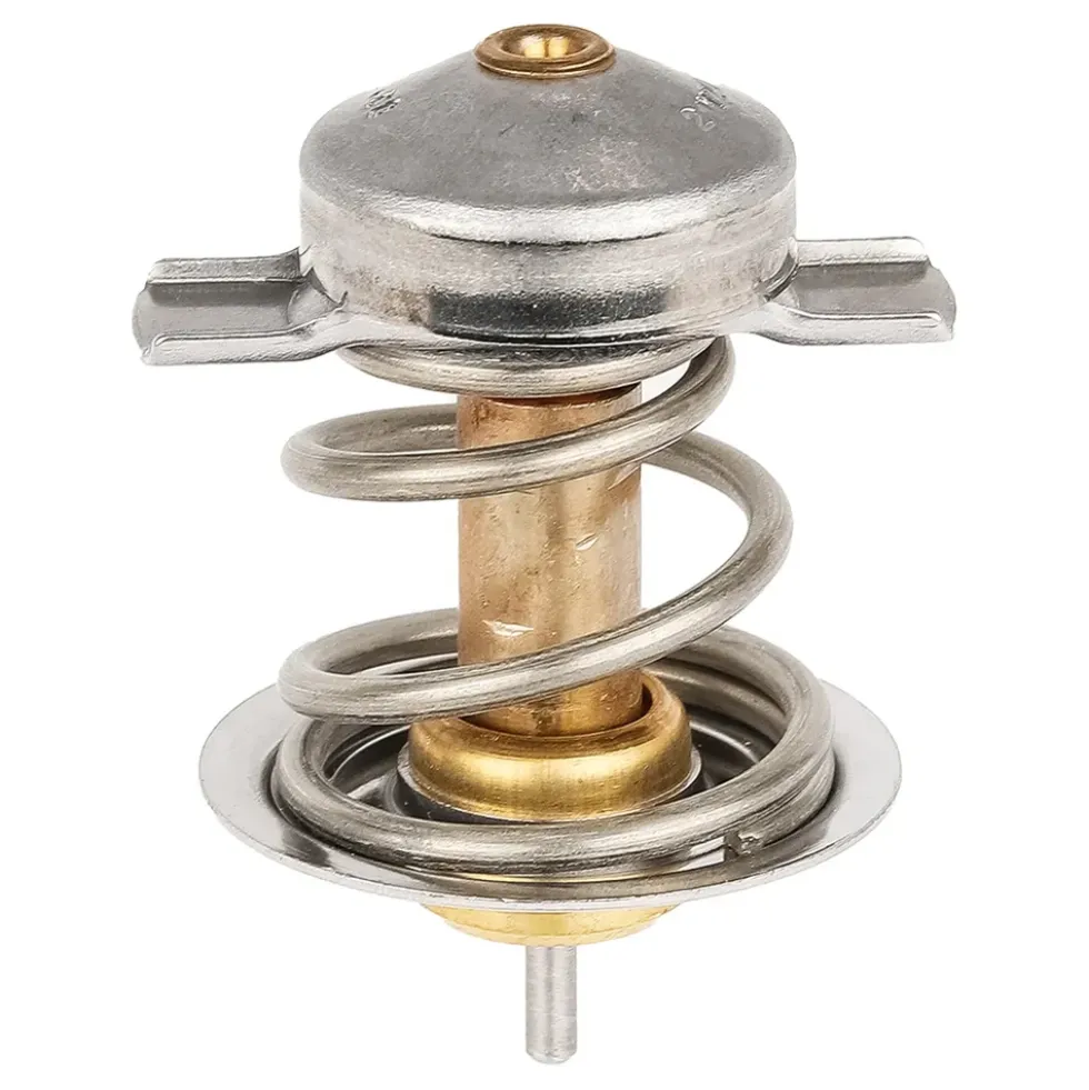 Thermostat eau pour Porsche Cayenne 955 V8 (2003-2006)