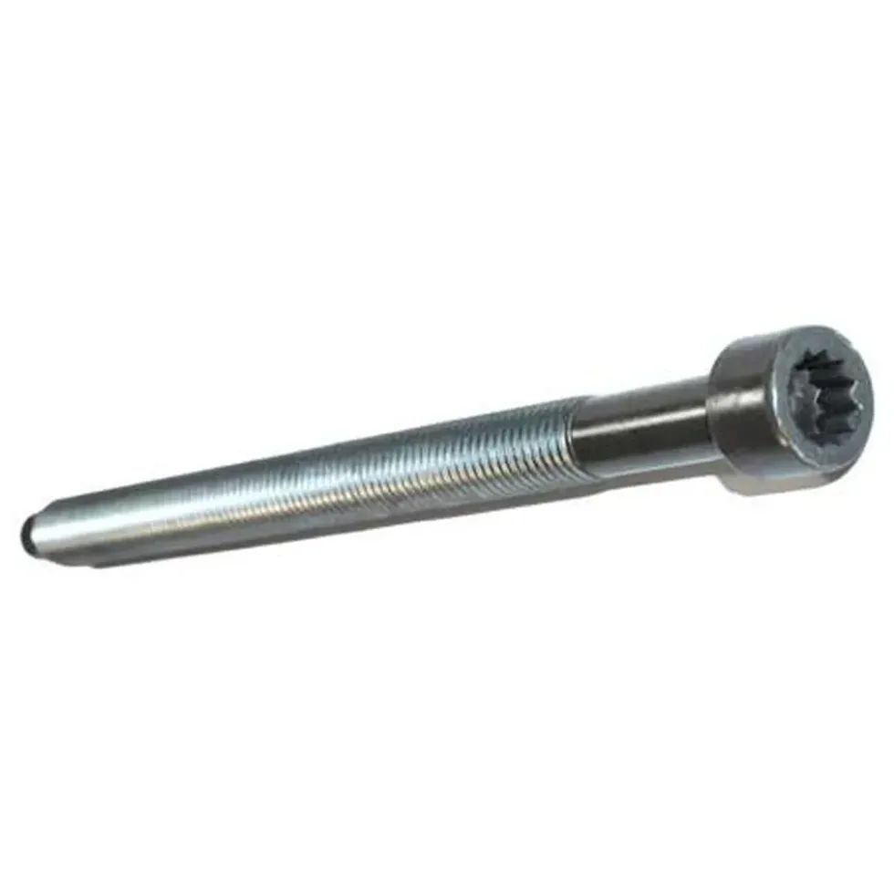 Vis de culasse FEBI pour Audi A3 8L 1.9TDI (2000-2003)